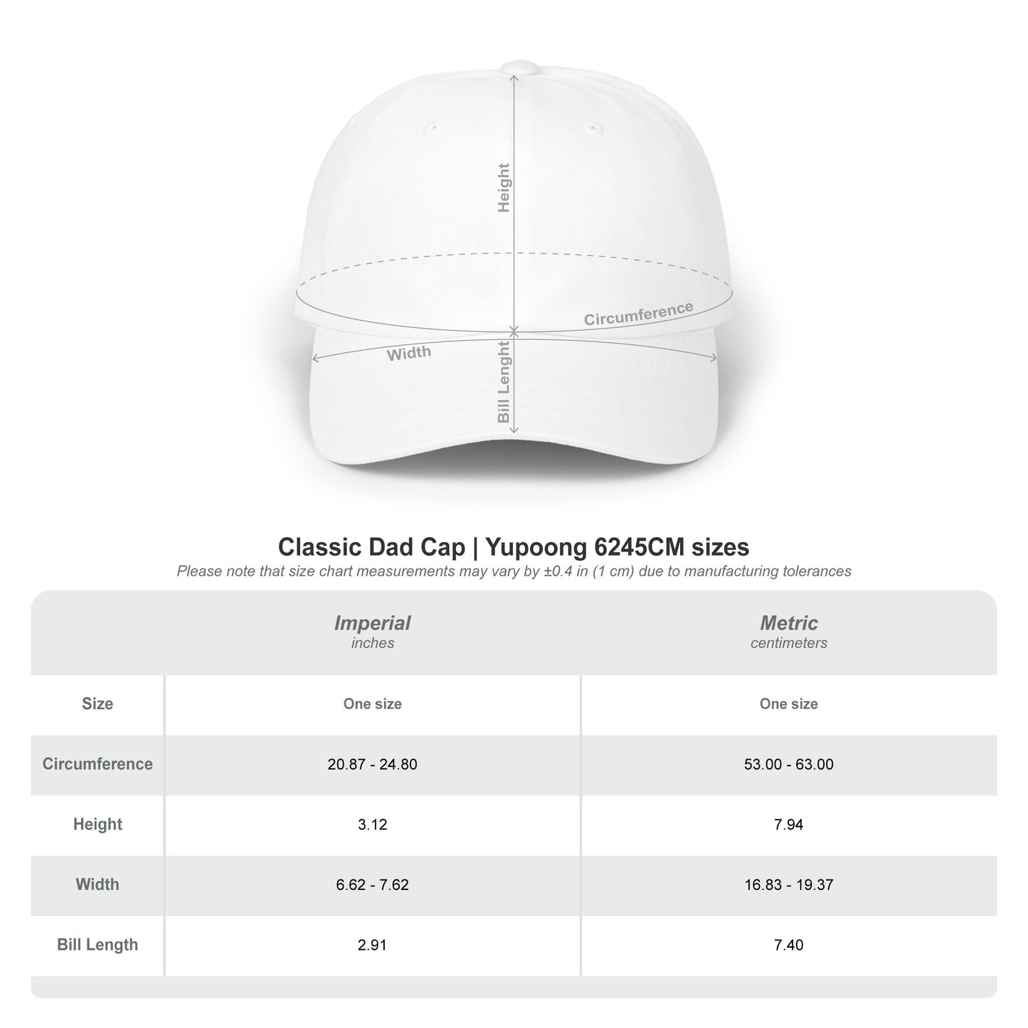 You're Absolutely Right Dad Cap (Light)